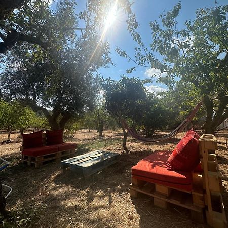B&B Villa Tiziana Monopoli Dış mekan fotoğraf