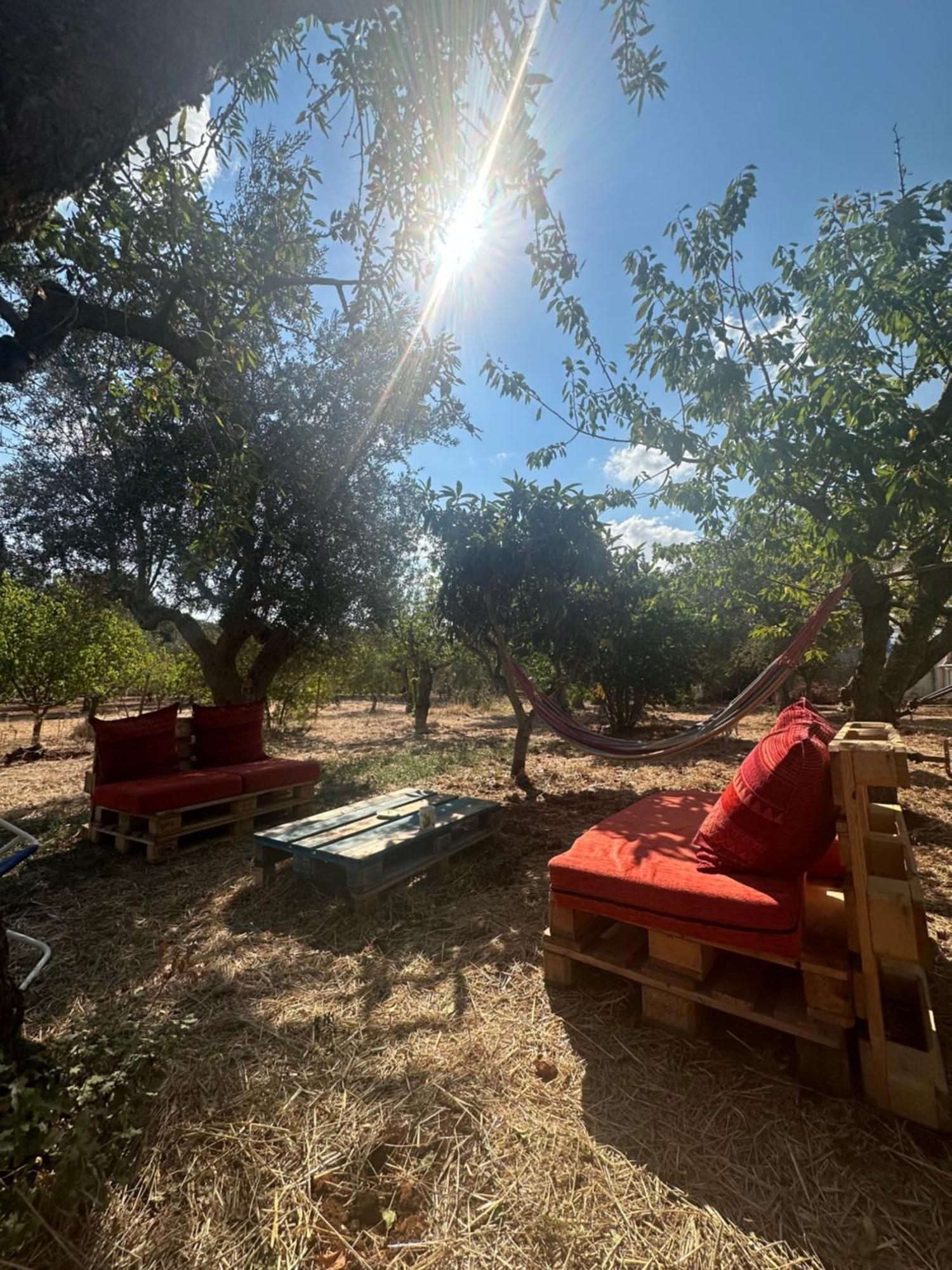 B&B Villa Tiziana Monopoli Dış mekan fotoğraf